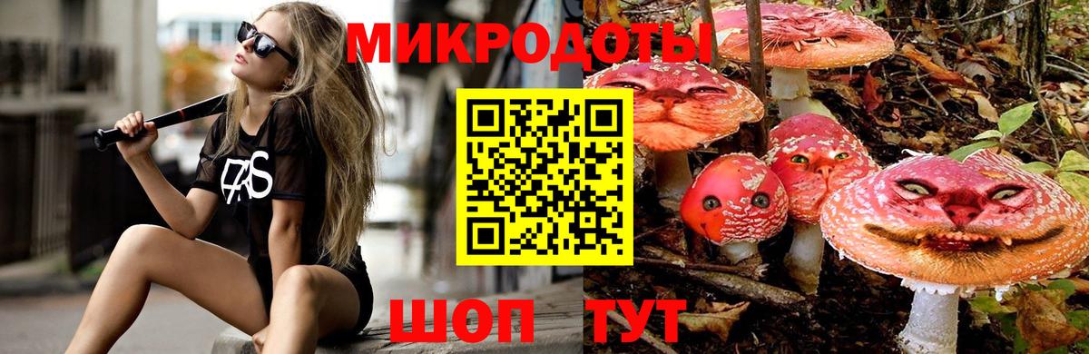 Чебаркуль  Псилоцибиновые грибы Cubensis  Вход с VPN 